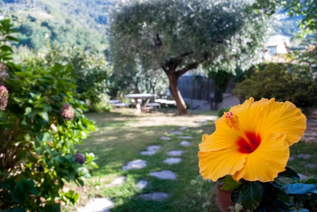 Casa Anna A Pietrasanta In Toscana Con Piscina Kültér fotó