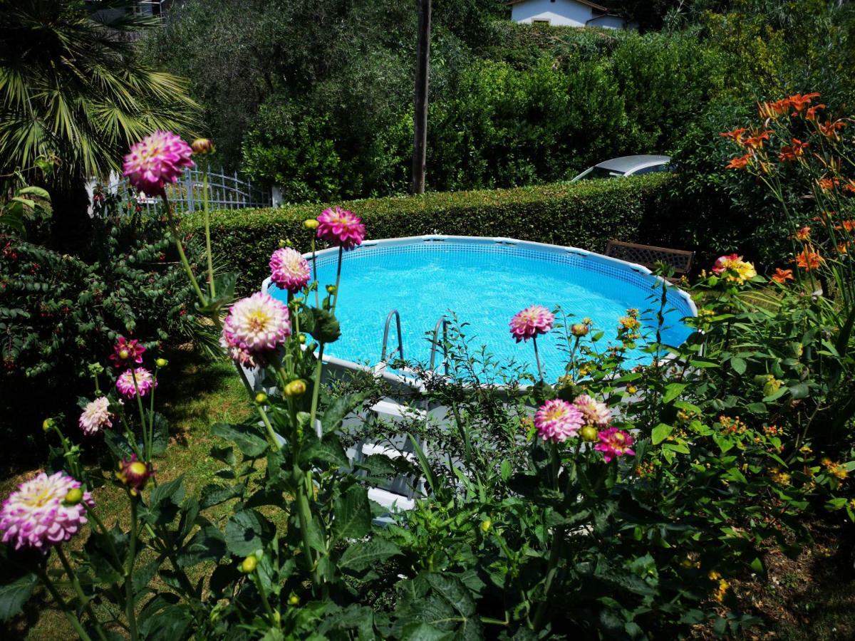 Casa Anna A Pietrasanta In Toscana Con Piscina Kültér fotó